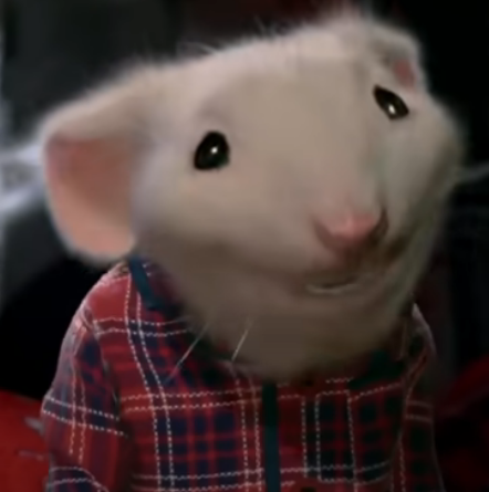 gnomemilk's tweet photo. have you ever seen a creature more wretched and deserving of scorn https://t.co/5AGYHQfRIi