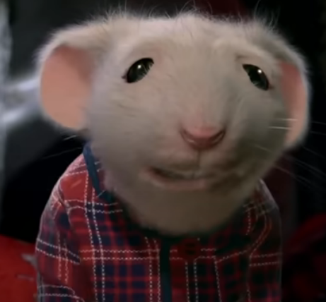 gnomemilk's tweet photo. have you ever seen a creature more wretched and deserving of scorn https://t.co/5AGYHQfRIi