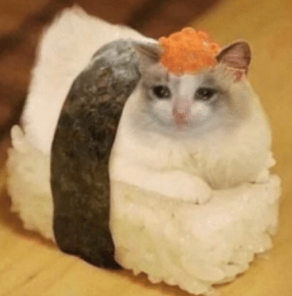 Cry Cat Coin 😿👍 tweet media