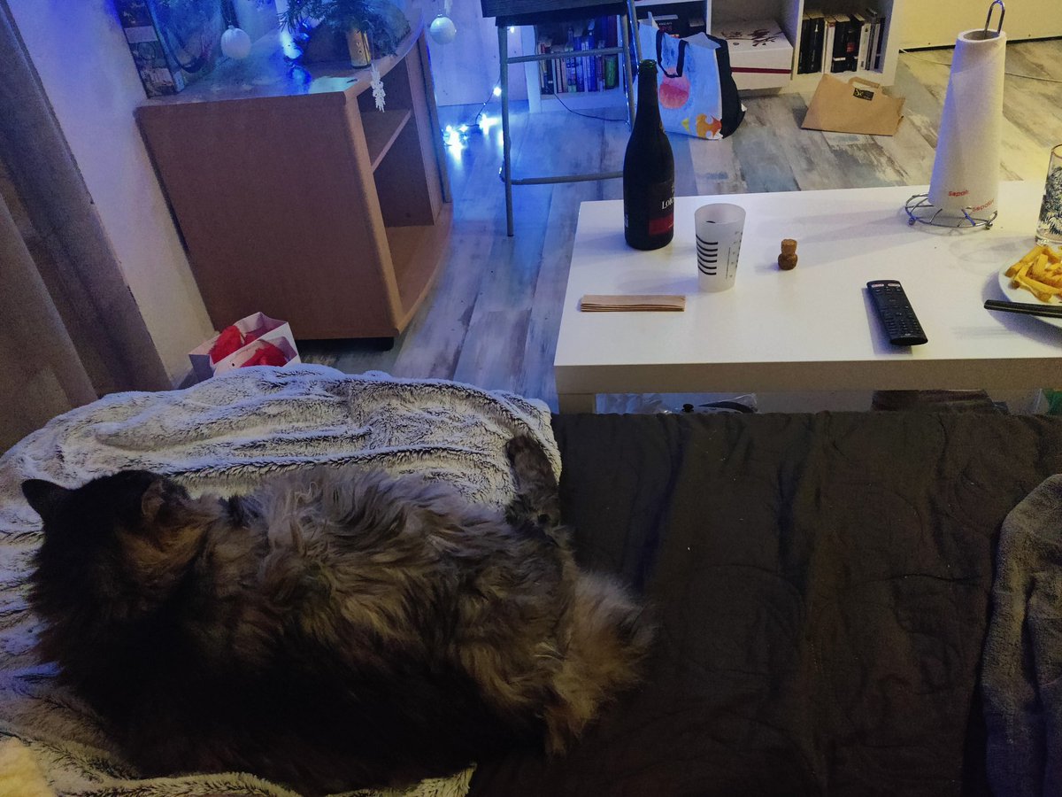 FinisBear's tweet photo. #catspreading https://t.co/rKdPMh8l4d