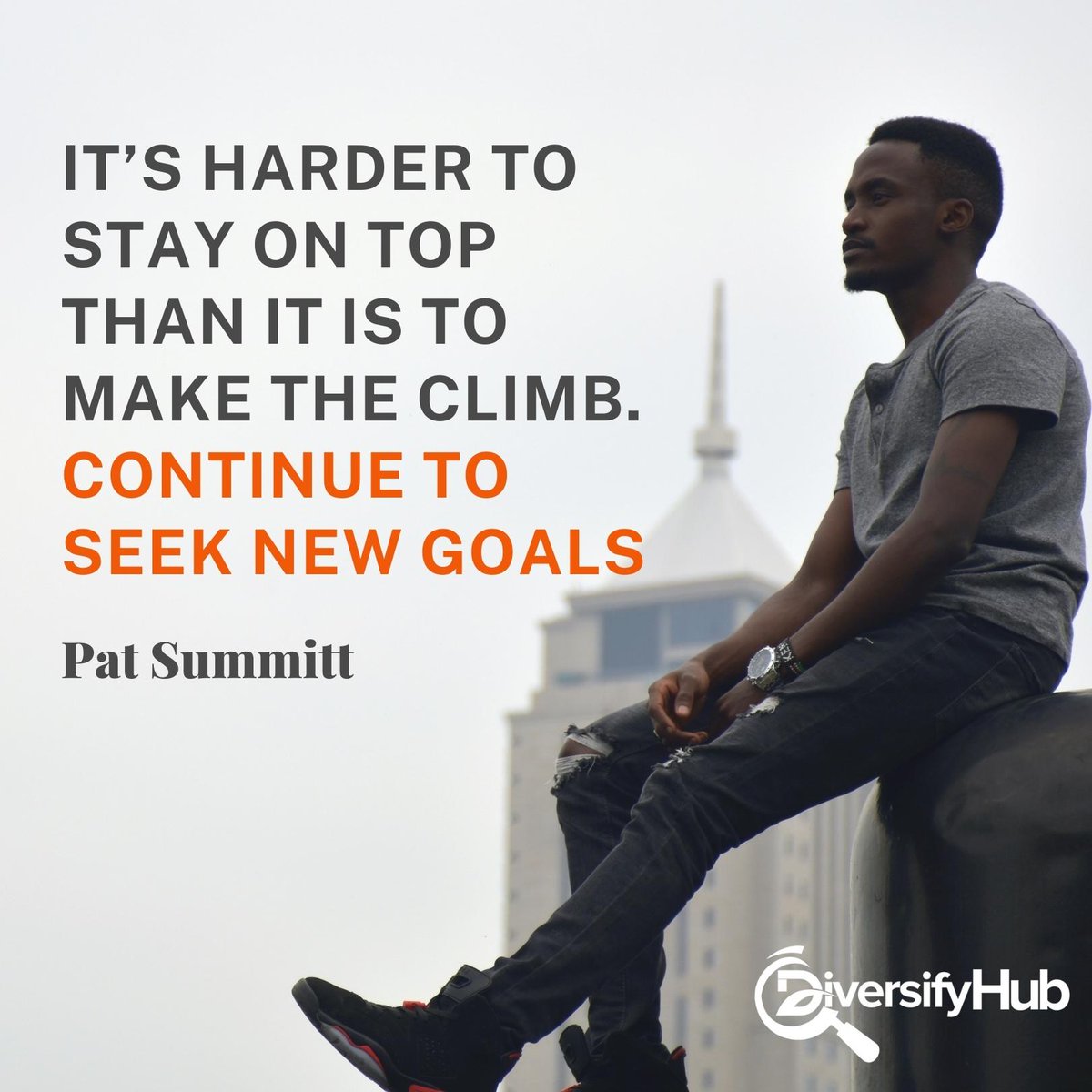 DiversifyHub tweet picture
