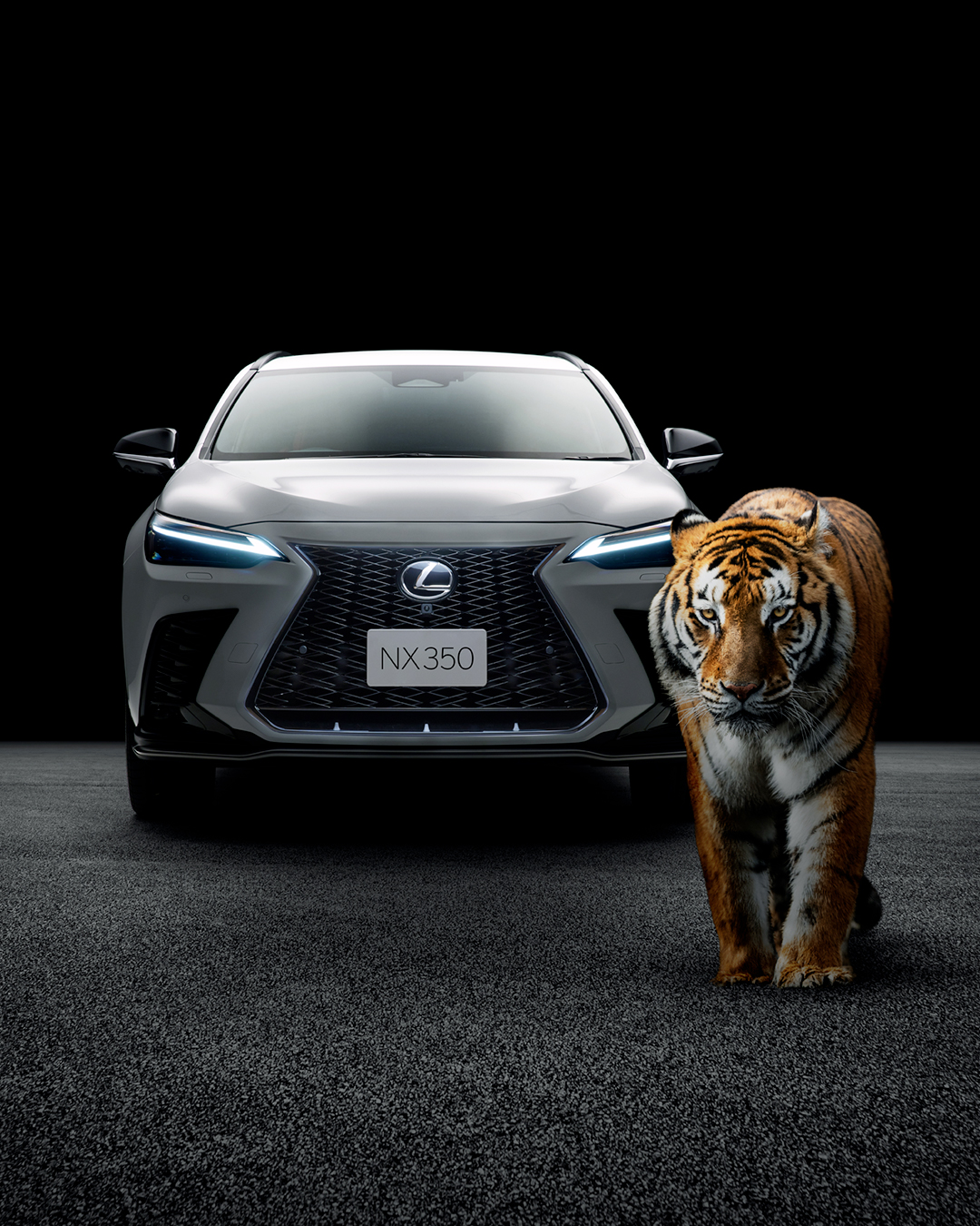 Lexus レクサス Happy New Year 虎の如く果敢に 千里を往くような挑戦を Lexus レクサス この写真素材は合成です T Co Vewxxuwb6z Twitter