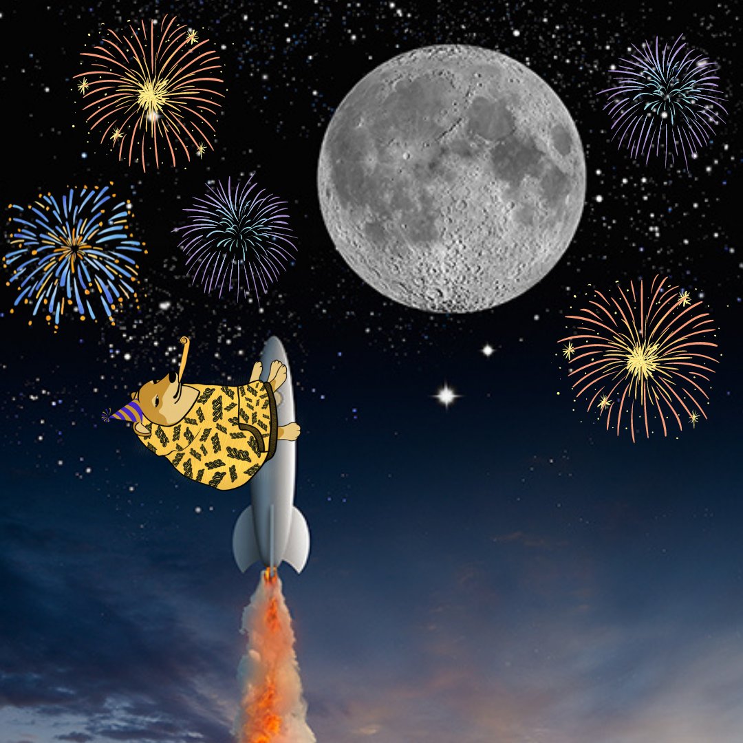 NYHoodieCheems's tweet photo. "Hey Hoodie Cheems, where ya going for #NewYearsEve?"

I bet you can guess... 🚀

#NYHoodieCheems #crypto #Cheems https://t.co/2GRql832Da