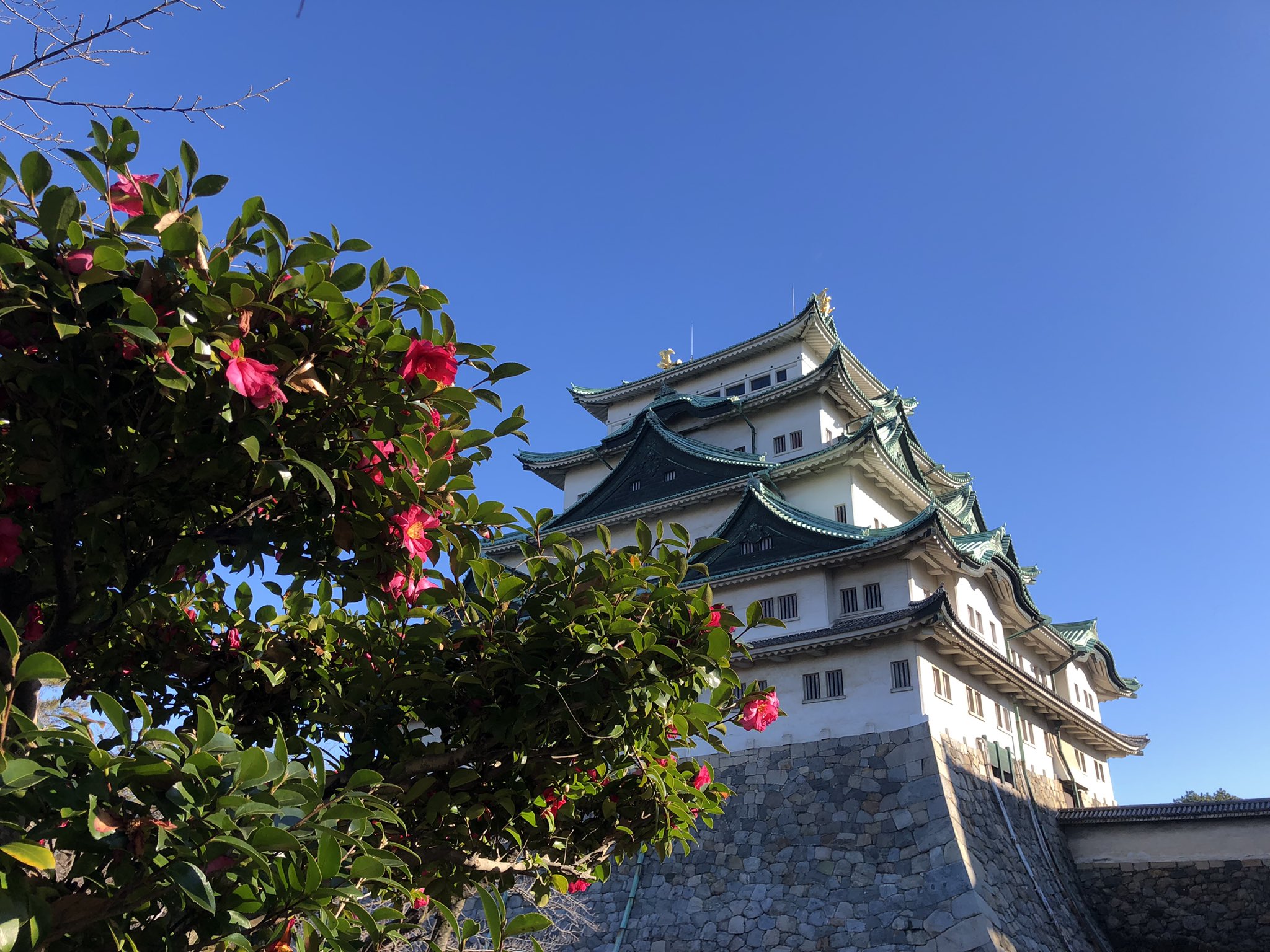 名古屋城 Nagoya Castle Citynagoyajo Twitter