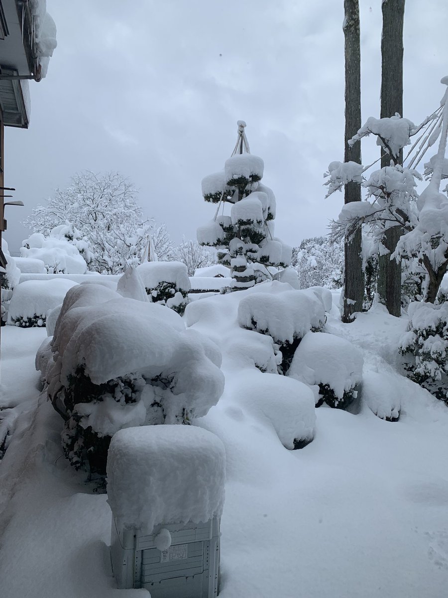 No14531128's tweet photo. 2022は豪雪からのスタートです❄️ https://t.co/pL1vyGeK9Z