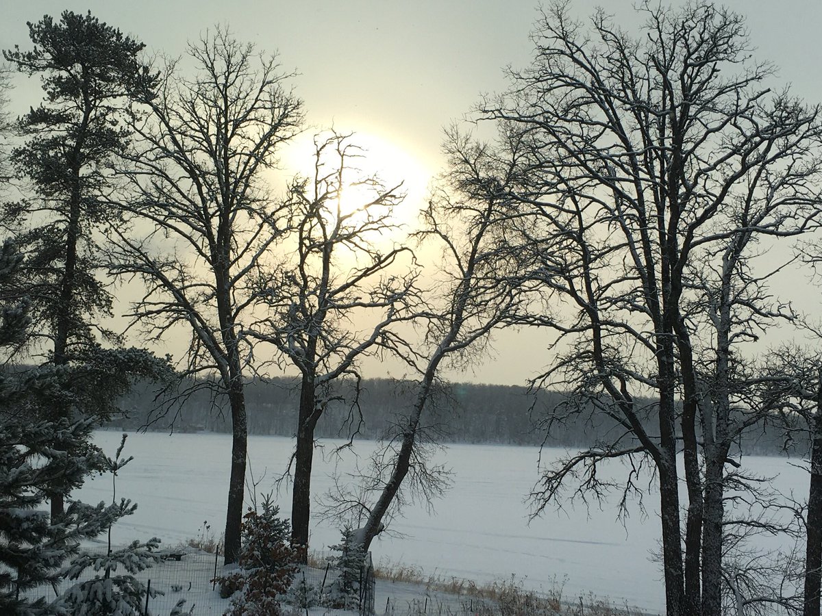 Diane Rydrych tweet media