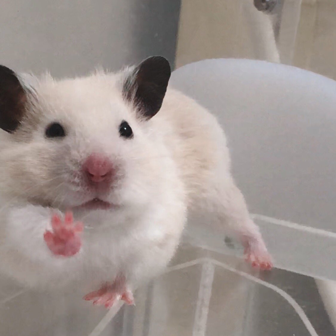 새해뵥 많이 받으세요 🎉