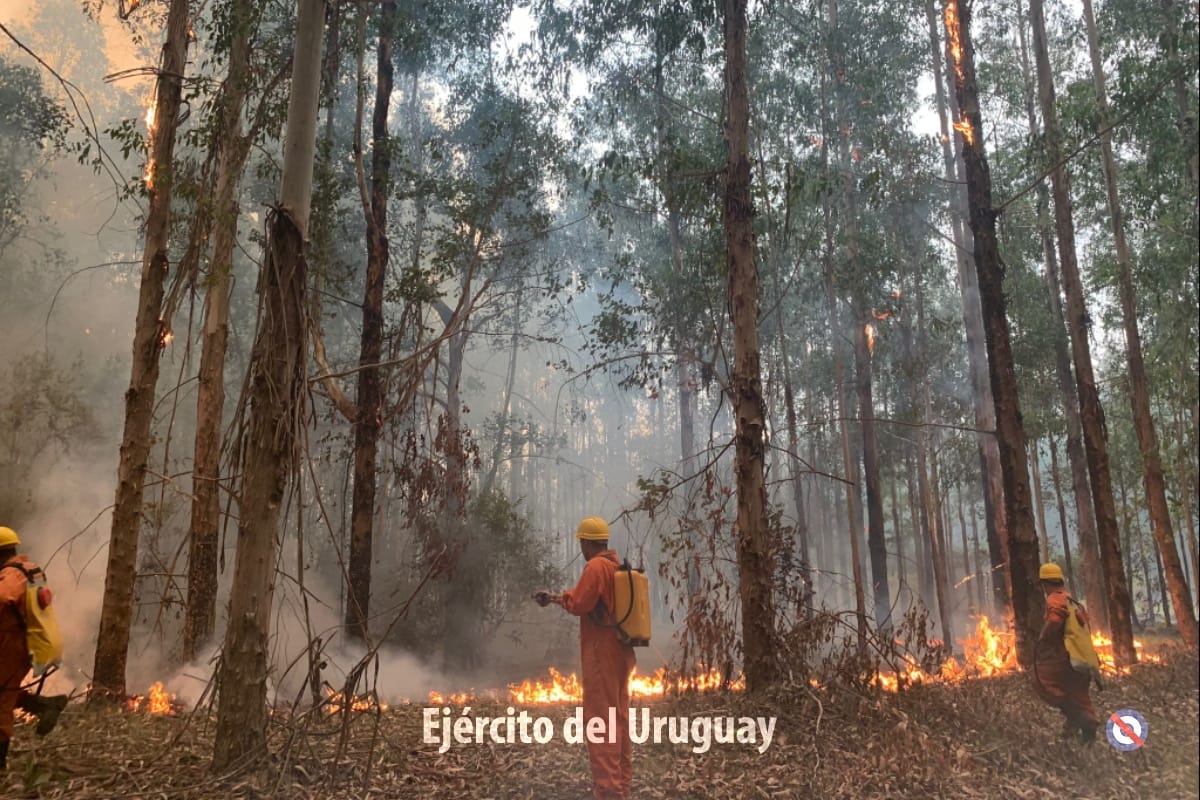 [AHORA] Efectivos del #EjércitodelUruguay siguen trabajando en apoyo a #Bomberos en Algorta. La situación está bajo control, pero el fuego avanzó al límite de #RíoNegro en alrededores de los pueblos: Piedras Coloradas y Orgoroso, #Paysandú.