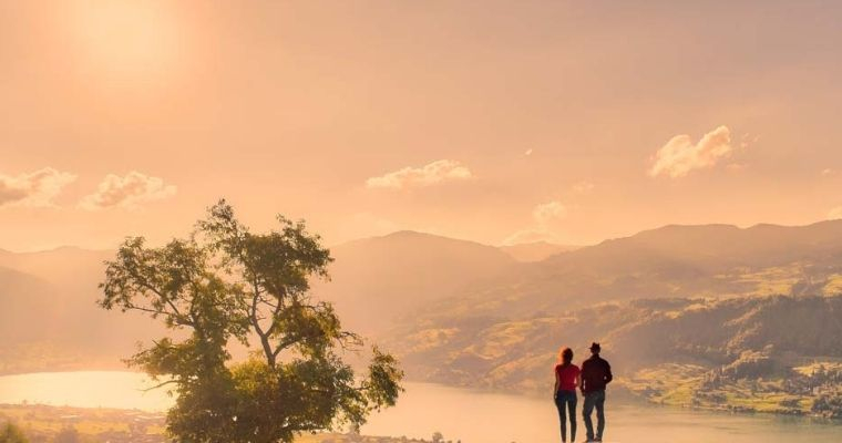 🌐tinyurl.com/yyx2kffh
Know Where Your Favorite Bollywood Stars are Travelling for Vacation?
#Bollywood