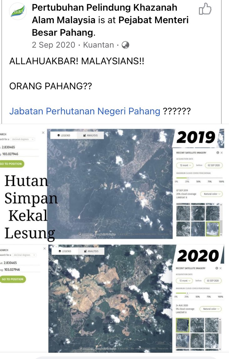 red_angpow's tweet photo. Isn’t this illegal? Satellite images for hutan kekal lesung Pahang https://t.co/wE0uHY9Ol1