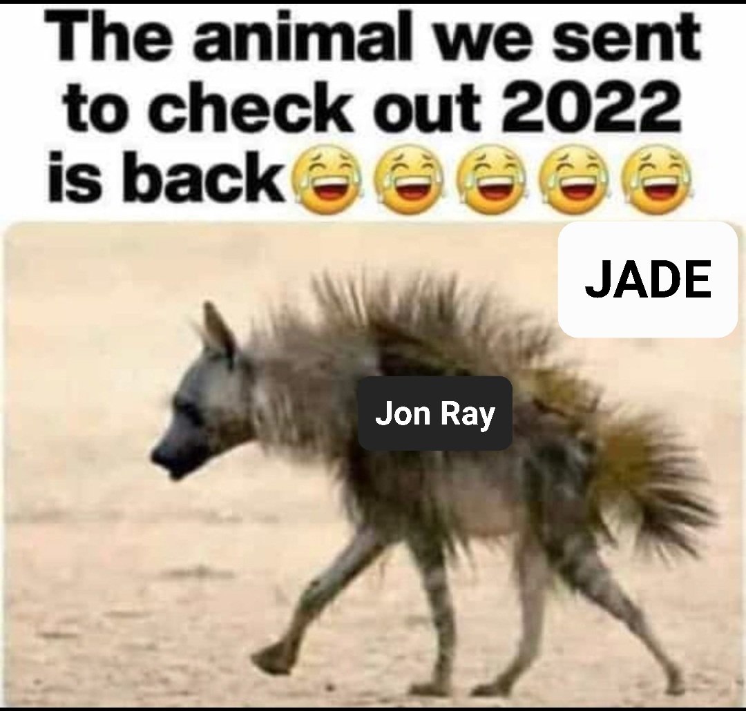 maxzpoo's tweet photo. @JadeProtocol https://t.co/7gAev4I4bq