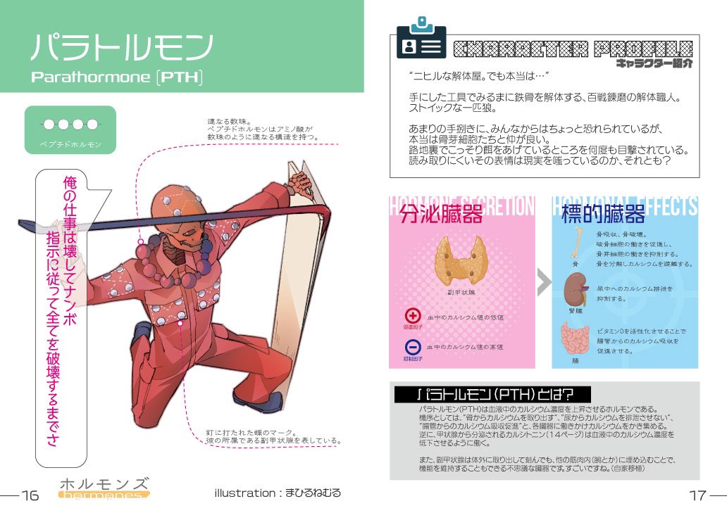 med56_bot's tweet photo. 《告知》明日12/31、コミックマーケット99に出展いたします。新刊は内分泌キャラクター化企画『ホルモンズ』上巻です。

東R20b『医療美術部』 https://t.co/PJ8rP0bcoD