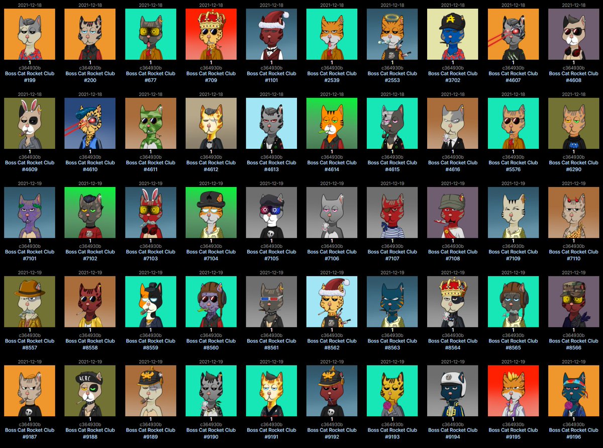 H₳PPY 🧡 $DOG tweet media