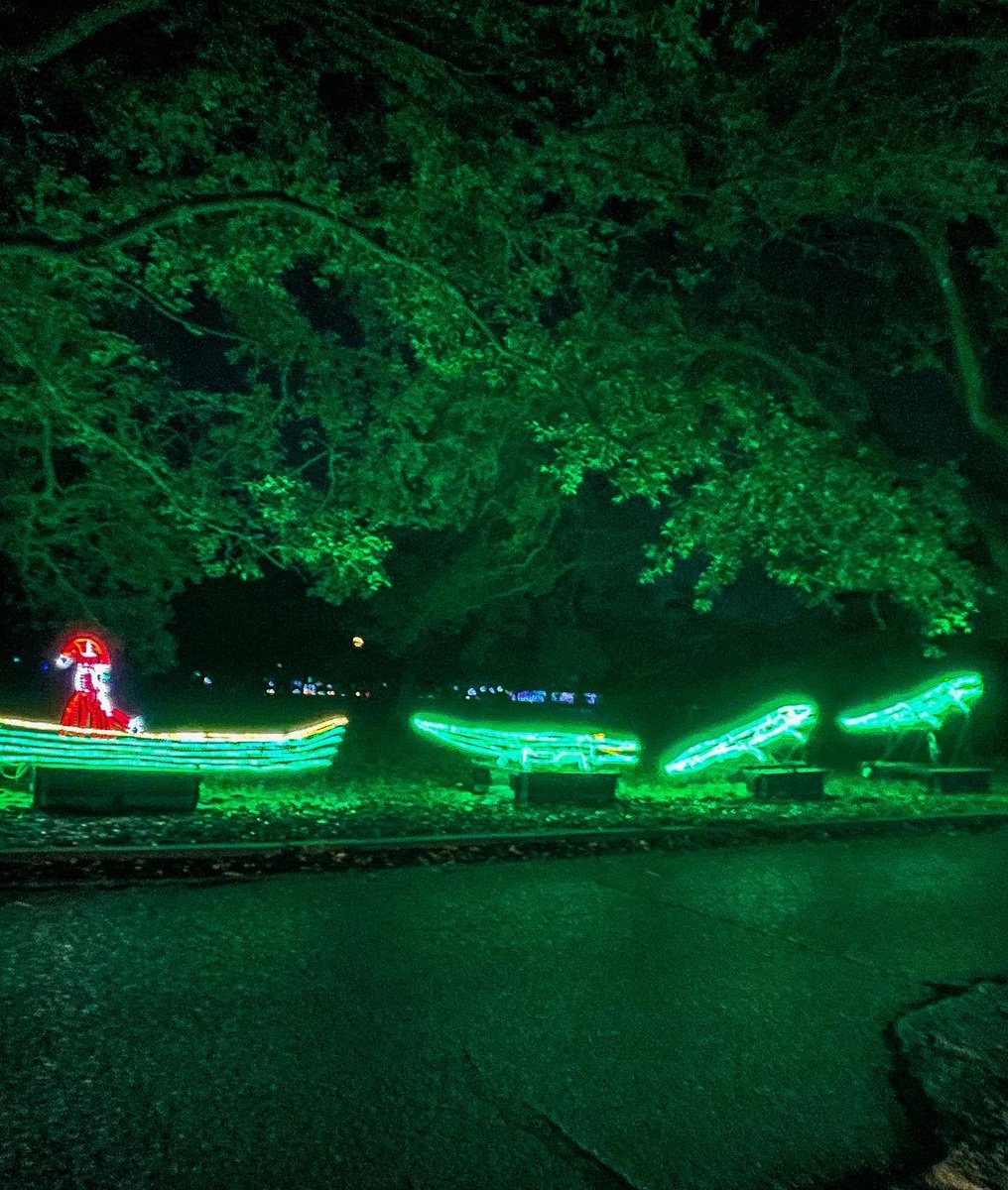 Did you get a chance to see the alligator Christmas lights at Celebration in the Oaks in New Orleans?