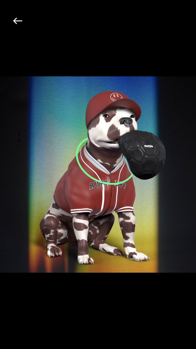 djdwreck64's tweet photo. @RuffLifeNFT got a new pup today! Excited to see the benefits of phase one! https://t.co/2MDqzpSPNd