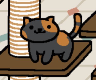 ProjektMomo's tweet photo. rt this cat https://t.co/UglSdgevMC