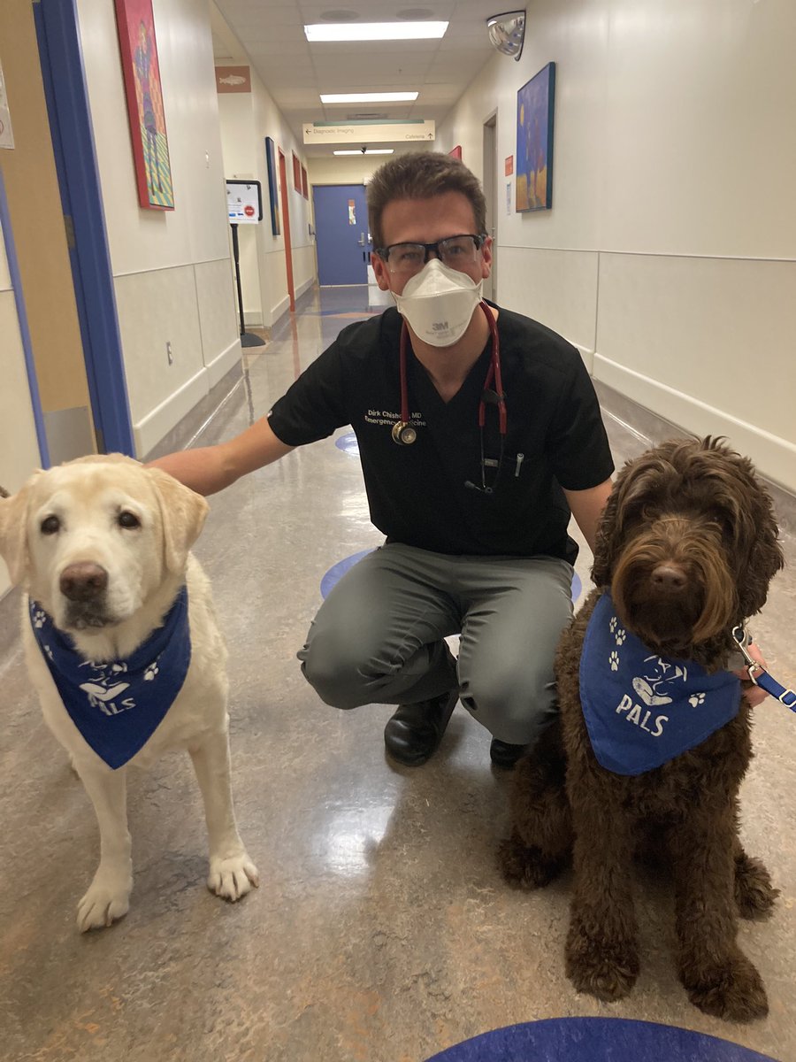 Today’s AB COVID numbers may have been 30% +  but these good pups brought 100% positivity to the ED