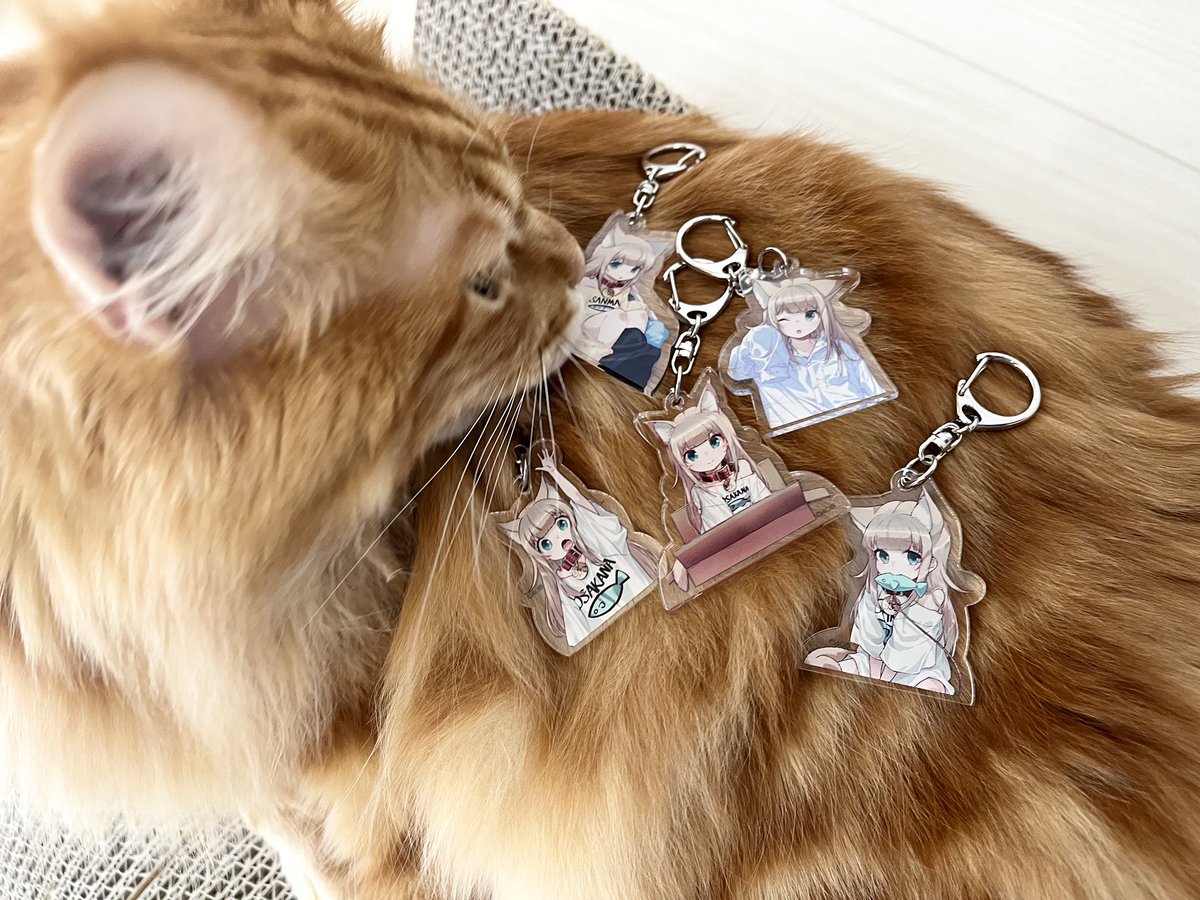 「きなこのアクリルキーホルダーガチャが出たよ🐈٩( `ω' )و🎉

秋葉原の」|40原のイラスト