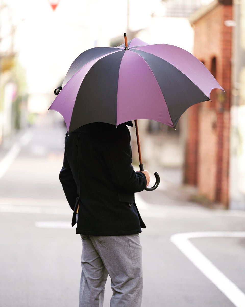 DiCesare Designs tweet media