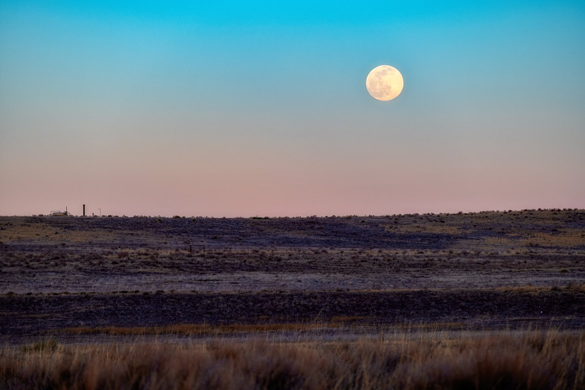 ChevronColorado's tweet photo. Did you know? We will eliminate more than 152 million miles of truck traffic & associated emissions by transporting oil & natural gas from our Mustang area by pipeline instead of trucks.
It’s one of the many ways we use innovation to advance a lower-carbon future. #TheChevronWay https://t.co/3JIkIiqFLp