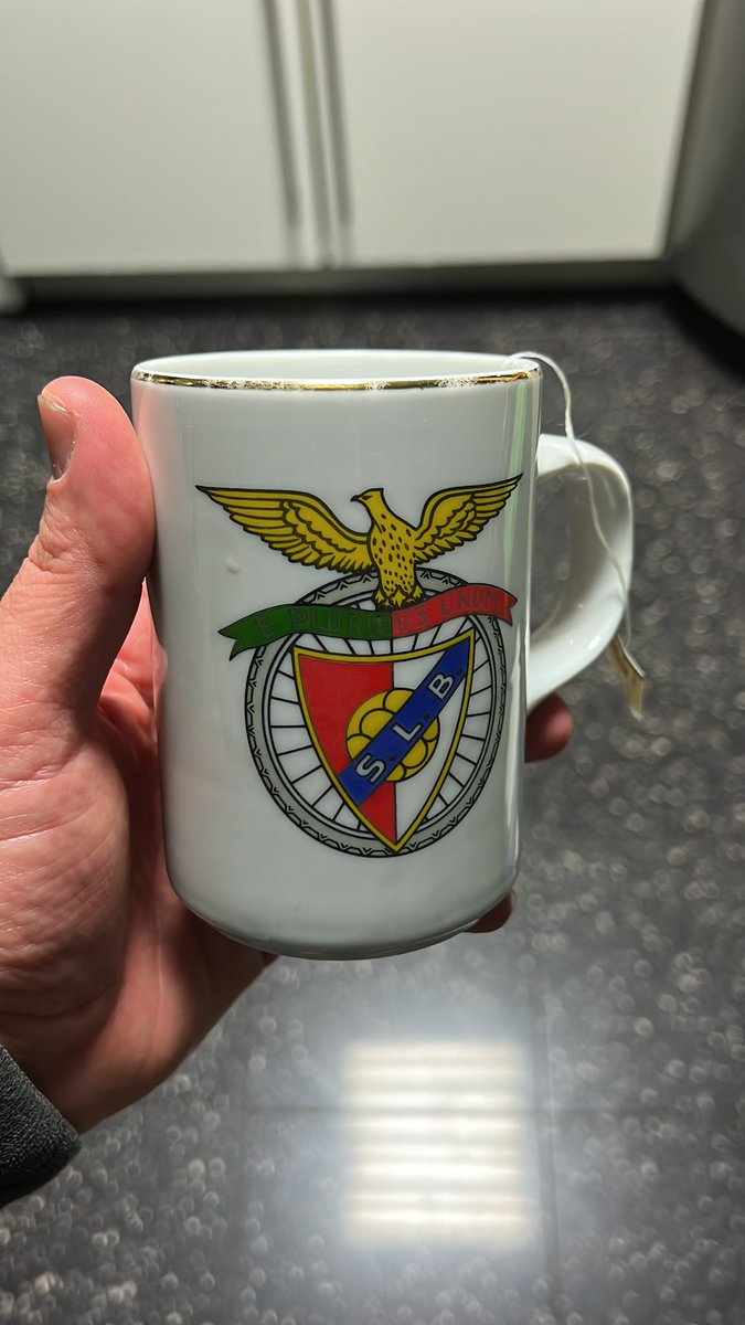 Sempre 🦅 
<a href="/SLBenfica/">SL Benfica</a> 
#FCPSLB