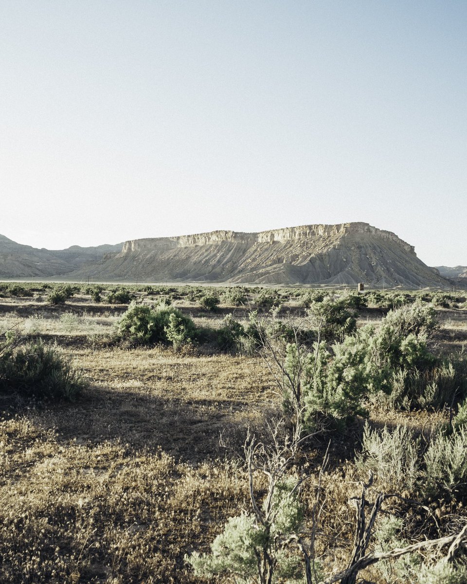 What photo should I put out as a NFT?
If bought you’d get the NFT, physical print and a national parks pass of your choice for one year. #NFT