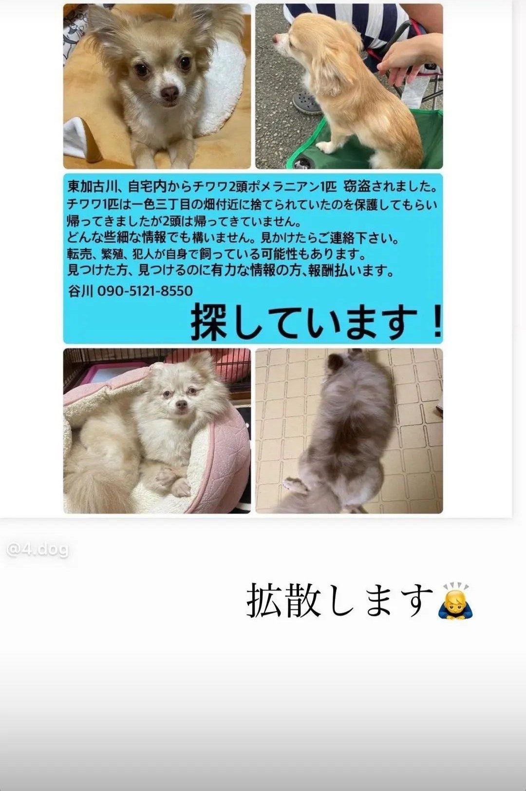 犬泥棒 Twitter Search Twitter