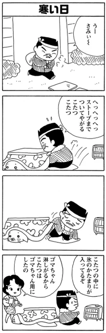 年末年始は毎朝ゴマちゃん!

ゴマちゃん専用コタツ。
#毎朝ゴマちゃん 