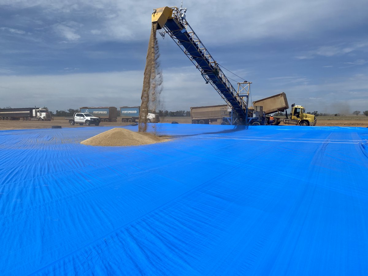 CargillAUS's tweet image. #harvest21 calls in the need to set up temporary bunkers at our #grainflow site a #Narromine and #Nyngan
#grains #harvest21 #agtwitter