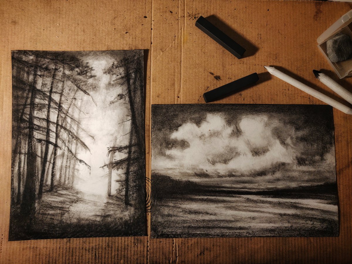 DieUbahn's tweet image. got some charcoal for christmas and used it for the first time and I can say it's the messiest thing ever but I quite like it
