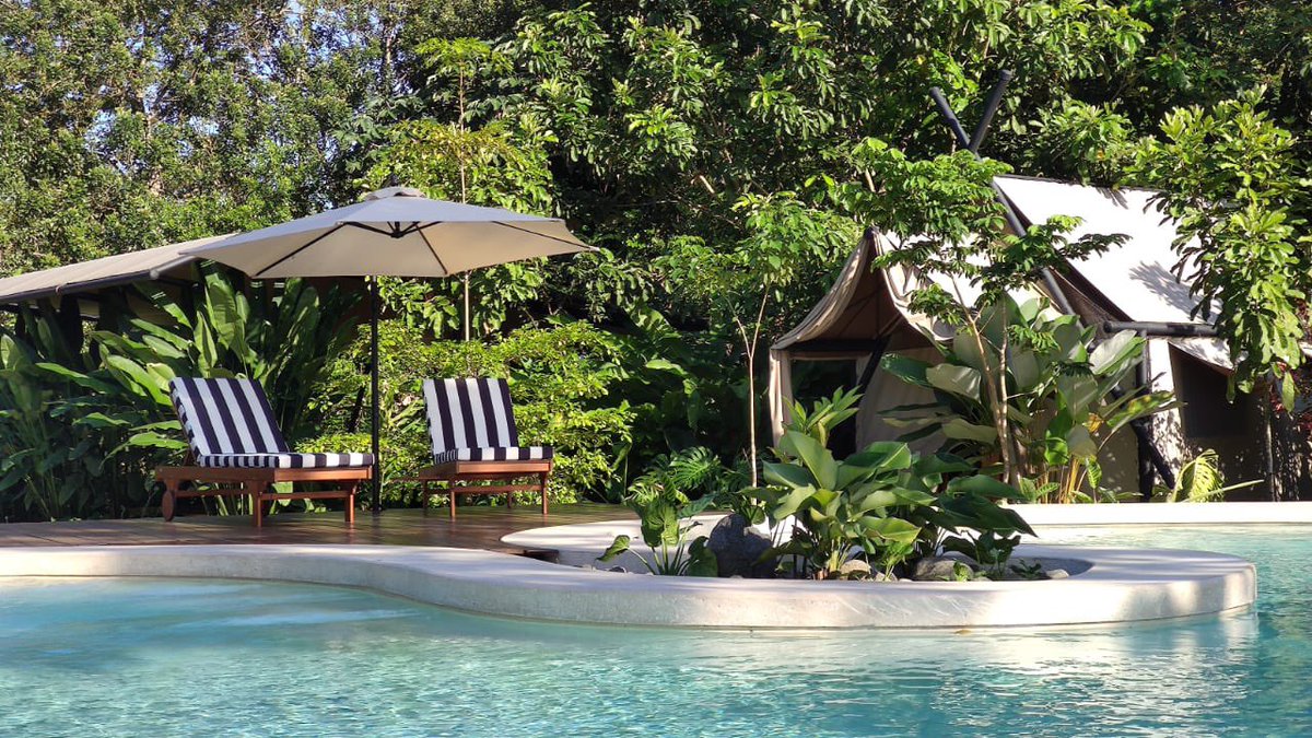 AnalauraHdezM's tweet photo. Luego de tres años de mucho trabajo y esfuerzo finalmente mi familia y yo abrimos nuestro Hotel Arenal Glamping! Denle mucho amor porfis 💛 reservas al: 87848998 o por redes sociales. https://t.co/pGhJRdhwI5