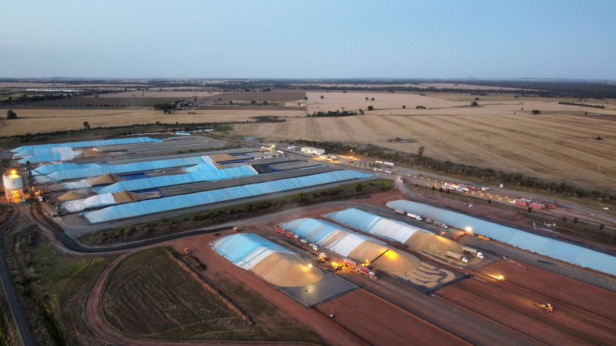 CargillAUS's tweet image. Dusk or dawn, #grainflow sites filled with #grains always make our eyes drawn
Bird eye view of our #grainFlow site at #WestWyalong
#grains #harvest21 #agtwitter