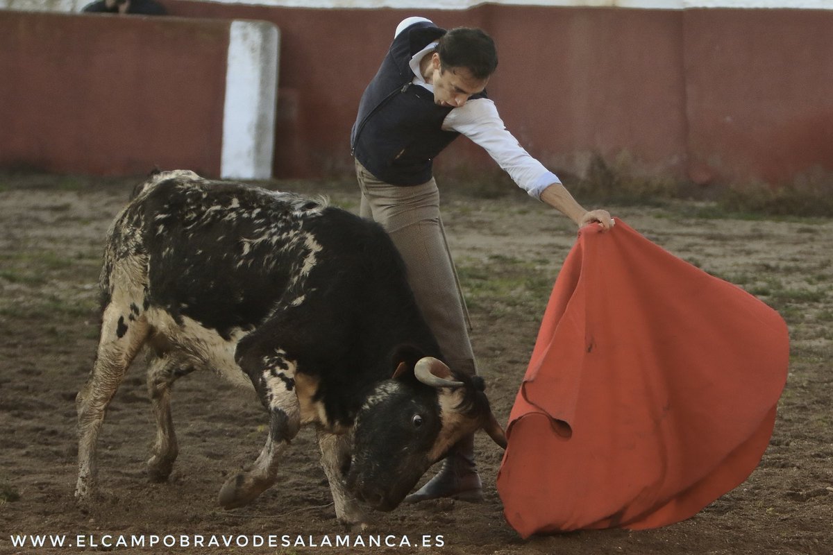 El Muletazo tweet media