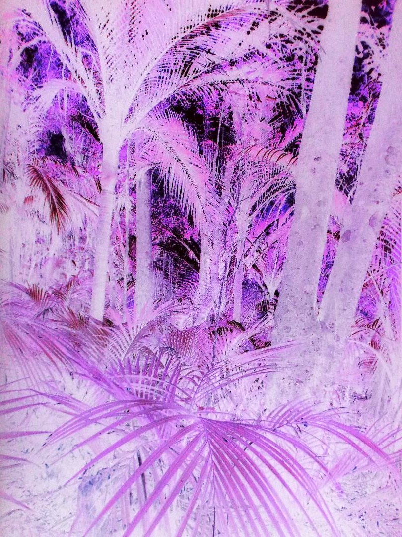 CryptoRager's tweet photo. "I'm unprepared for that sudden rush of distinctive beauty of a vision so lush
with color of emotion. I could not fathom this sudden scene of natural serenity,
nor be ready for nature's serendipity." Enjoy

Remember to like and share: https://t.co/vWIae6zKO3 https://t.co/56uQ9tt80n