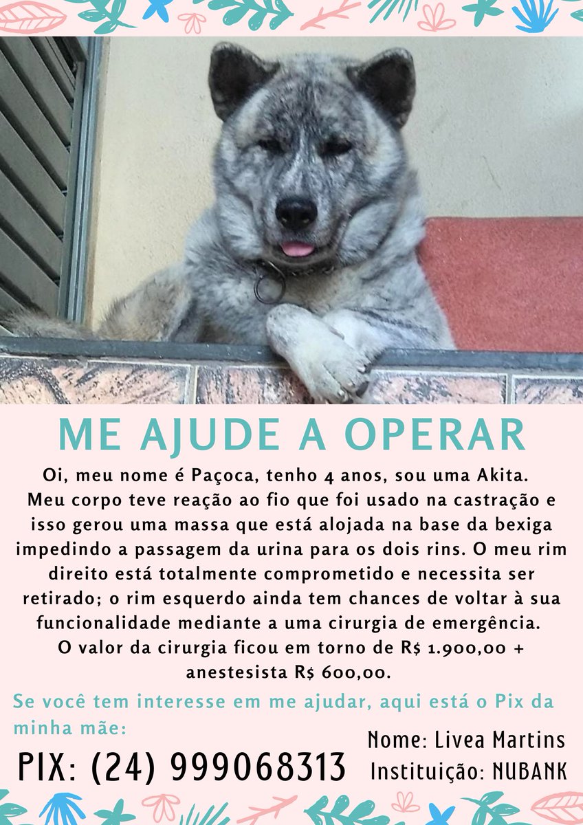 campolinof's tweet photo. RT AQUI, POR FAVOR!! 

#BUNDAAWARDS #RicoTaON / Se o JJ / #PEITOAWARDS #VoltaDS87 / O JJ / #spacedadhu / O Braz / #BadBuddySeriesEP9 / Chris Evans / Tobey Maguire / Andrew Garfield / Tom Holland / Juliete / Anitta / Sthe / Dynho / Mirella https://t.co/JnJ4w4Vxww