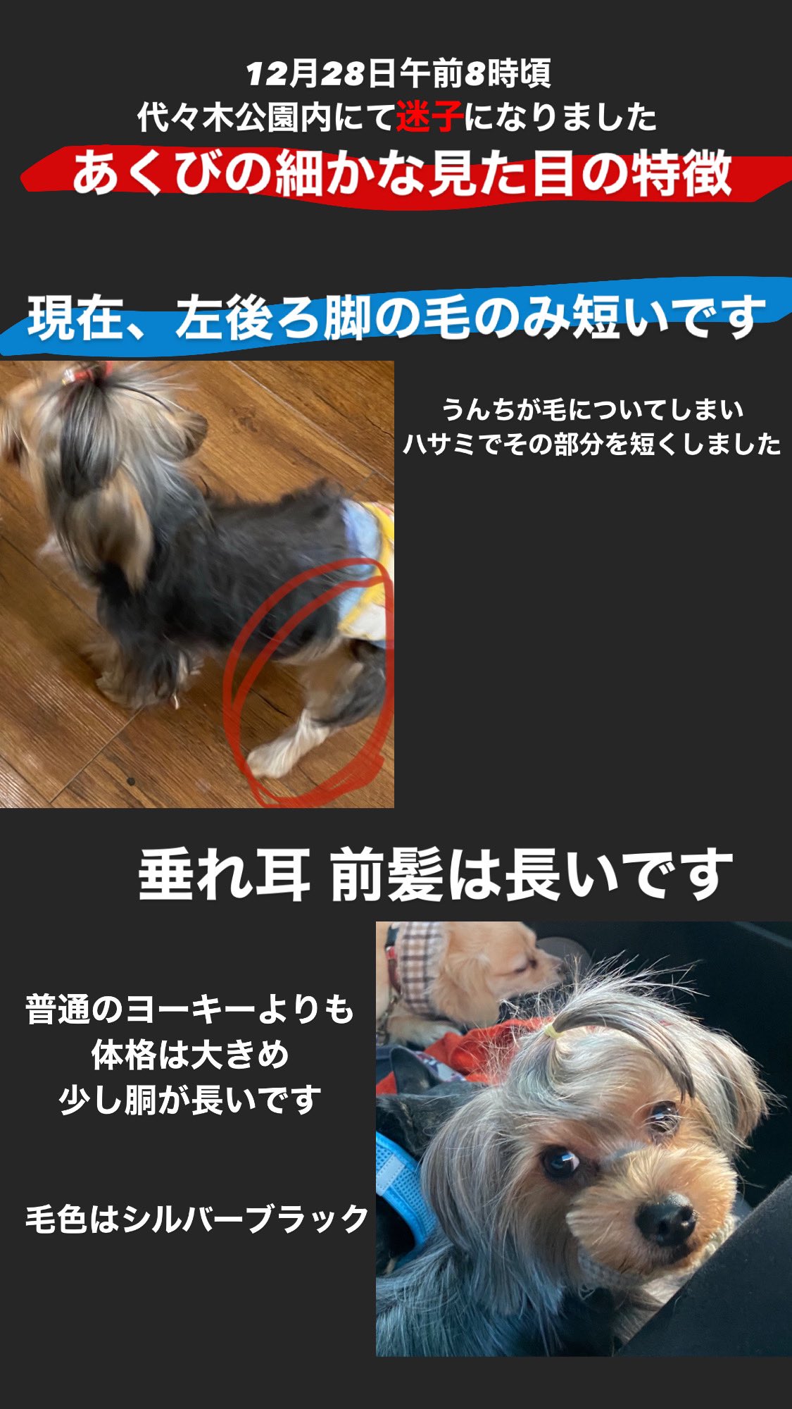 あくびを探しています Keu T8 Twitter