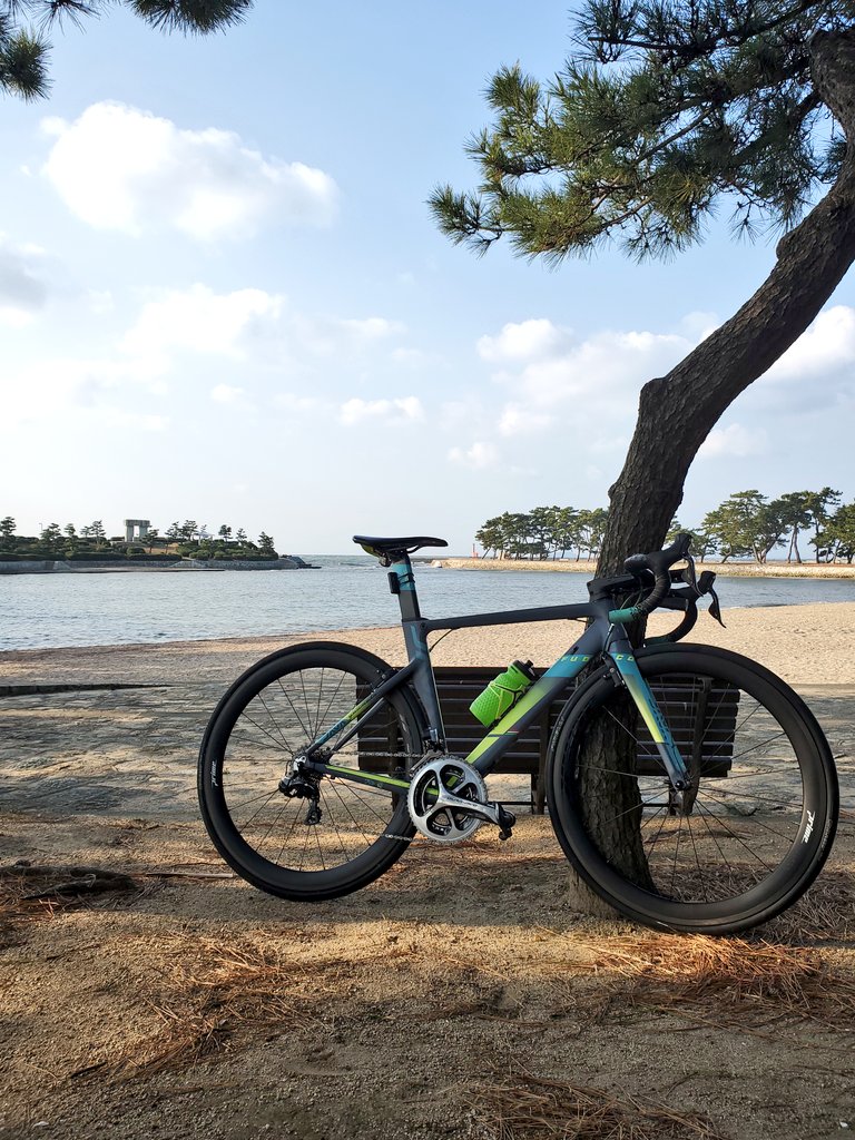 Yuumeln's tweet photo. ｶｾﾞﾂﾖｵｵｵｲ!!
高砂の向島公園まで来た:DD
#VIVAJAVA https://t.co/ZmkOXdYQWm