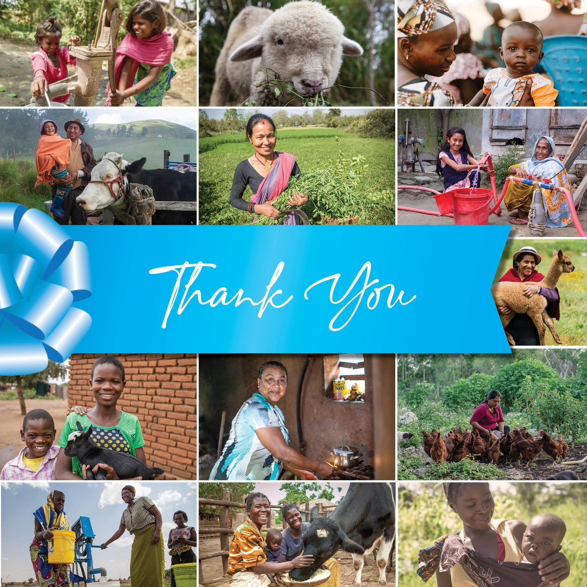 Douglas Laboratories (@douglaslabs) on Twitter photo Thanks to your generosity and support during our 3rd annual Season of Giving, $50,000 will be donated toward the many programs <a href="/Heifer/">Heifer International</a> operates to help families in need. Thanks for partnering with us improve the lives of so many during this holiday season and in the new year! Thanks to your generosity and support during our 3rd annual Season of Giving, $50,000 will be donated toward the many programs <a href="/Heifer/">Heifer International</a> operates to help families in need. Thanks for partnering with us improve the lives of so many during this holiday season and in the new year!