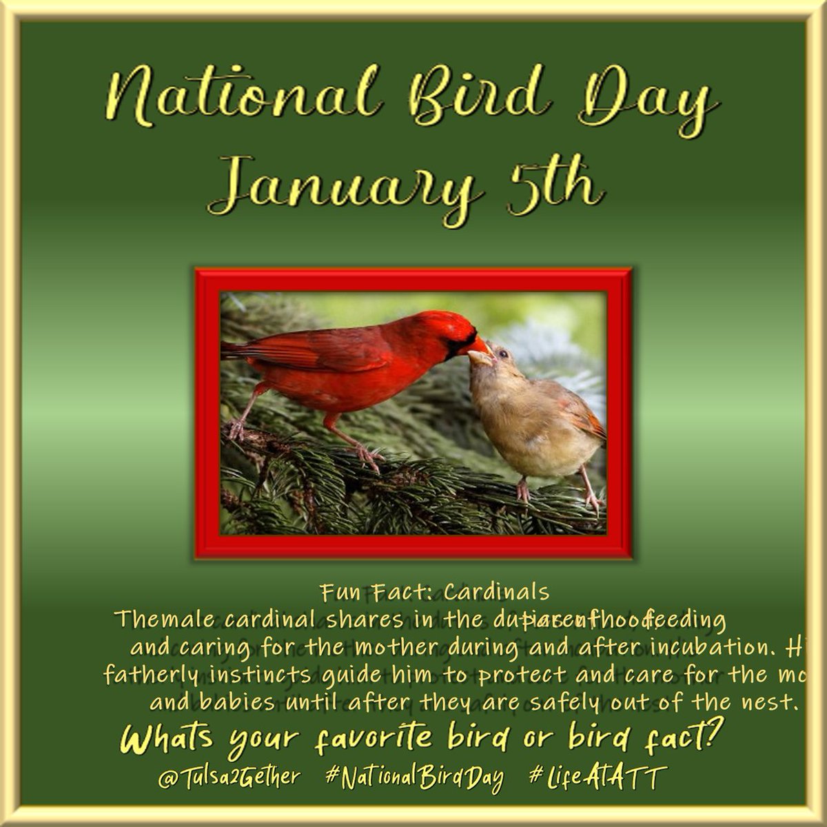 Tulsa2gether's tweet photo. January 5th is #NationalBirdDay so tell us your favorite bird or bird fact! Tweet Tweet - around here #BirdistheWord #lifeatATT #Tulsa2gether https://t.co/fk4Uyi7JC8