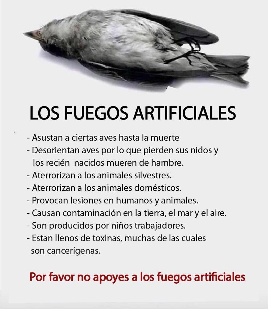 calder_ncarla's tweet photo. @TarekWiliamSaab cuándo implementarán una ley de la prohibición de uso de pólvora. Denuncio que en Patiecitos, municipio Guasimos del estado Táchira, en la licorera "Hermanos Cano" abusan con el uso de pólvora. Hasta cuándo soportar ese abuso. Todo el día! Sancionen ya. https://t.co/Cyg7pHUS2O