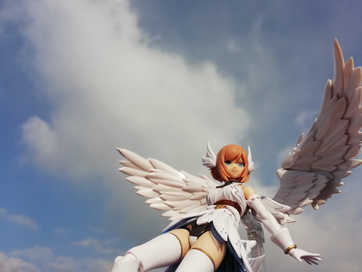 pomeragion's tweet image. 青空に我慢出来ませんでした😇