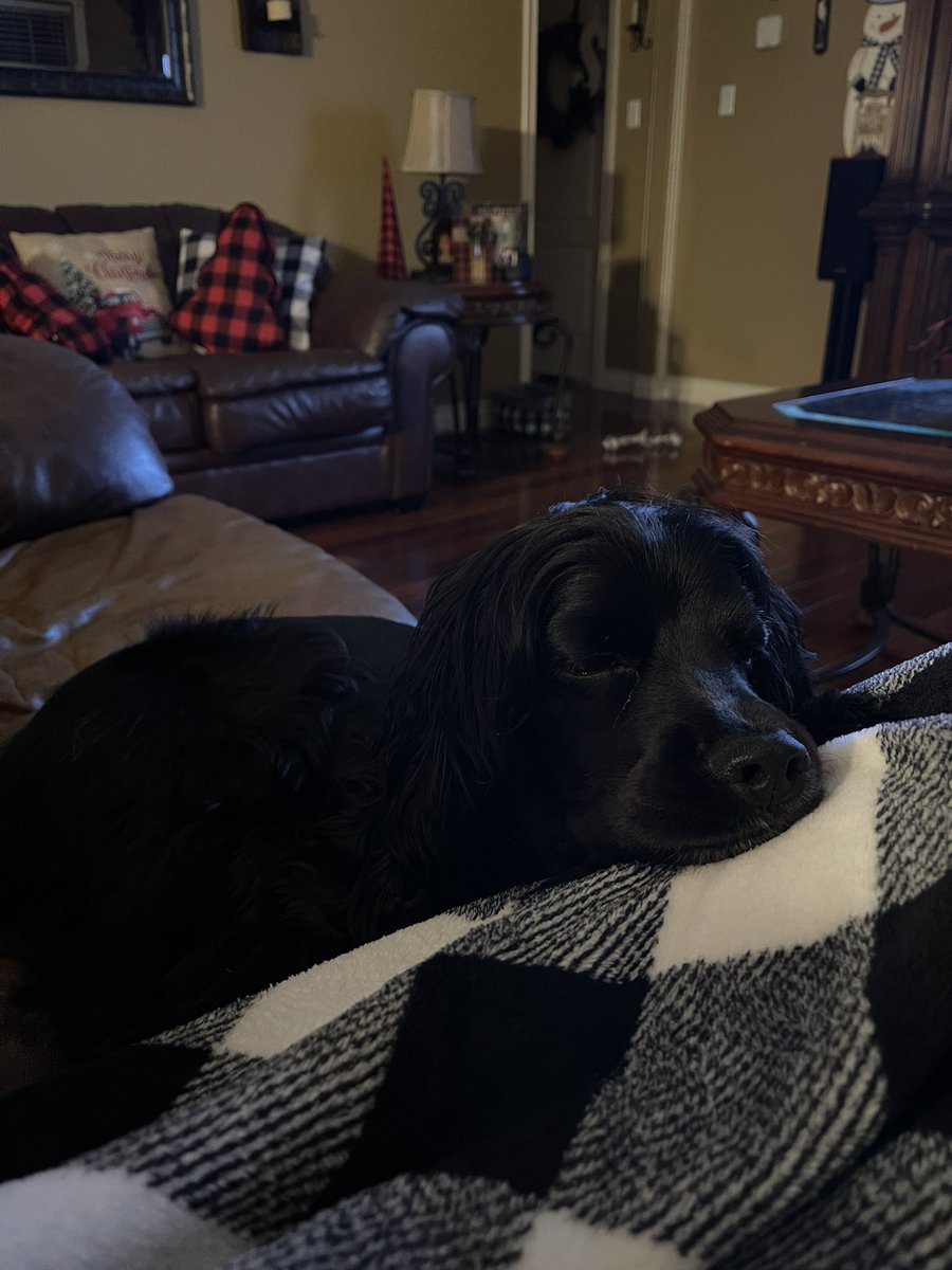 lauren 🪐 tweet media