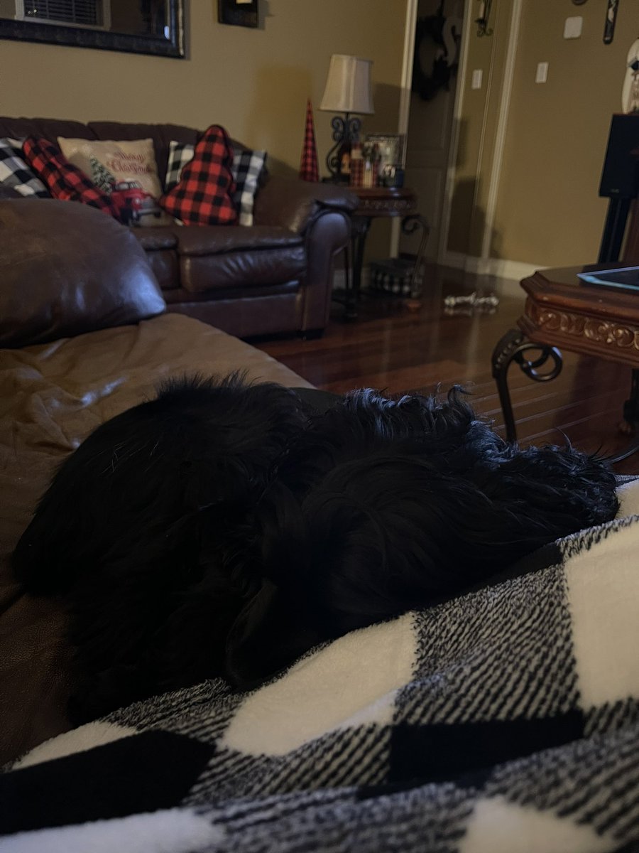 lauren 🪐 tweet media