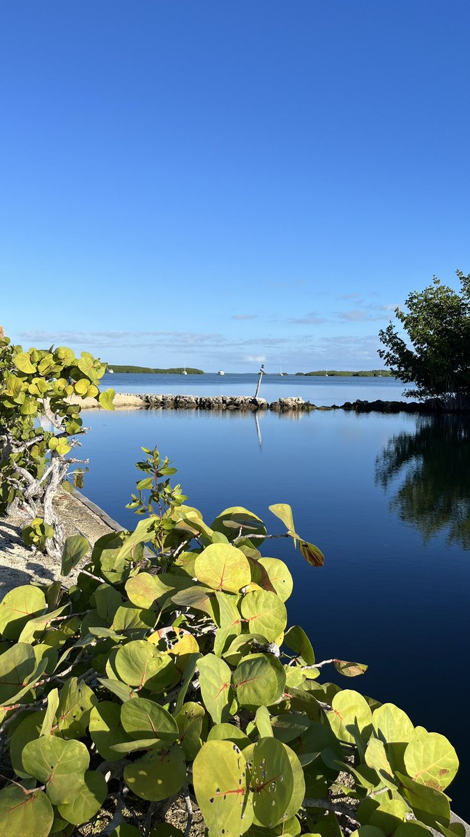 SWVatalaro's tweet photo. Picture perfect day! Can’t wait to get out and fish these waters. 🎣 #keyskid #homefortheholidays https://t.co/amsIZqfUHs