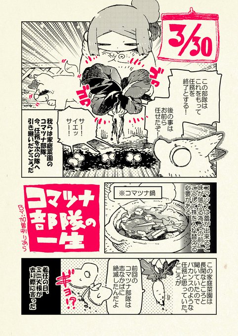 かわいいかわいいコマツナの話です  (1/2)
#家庭菜園 