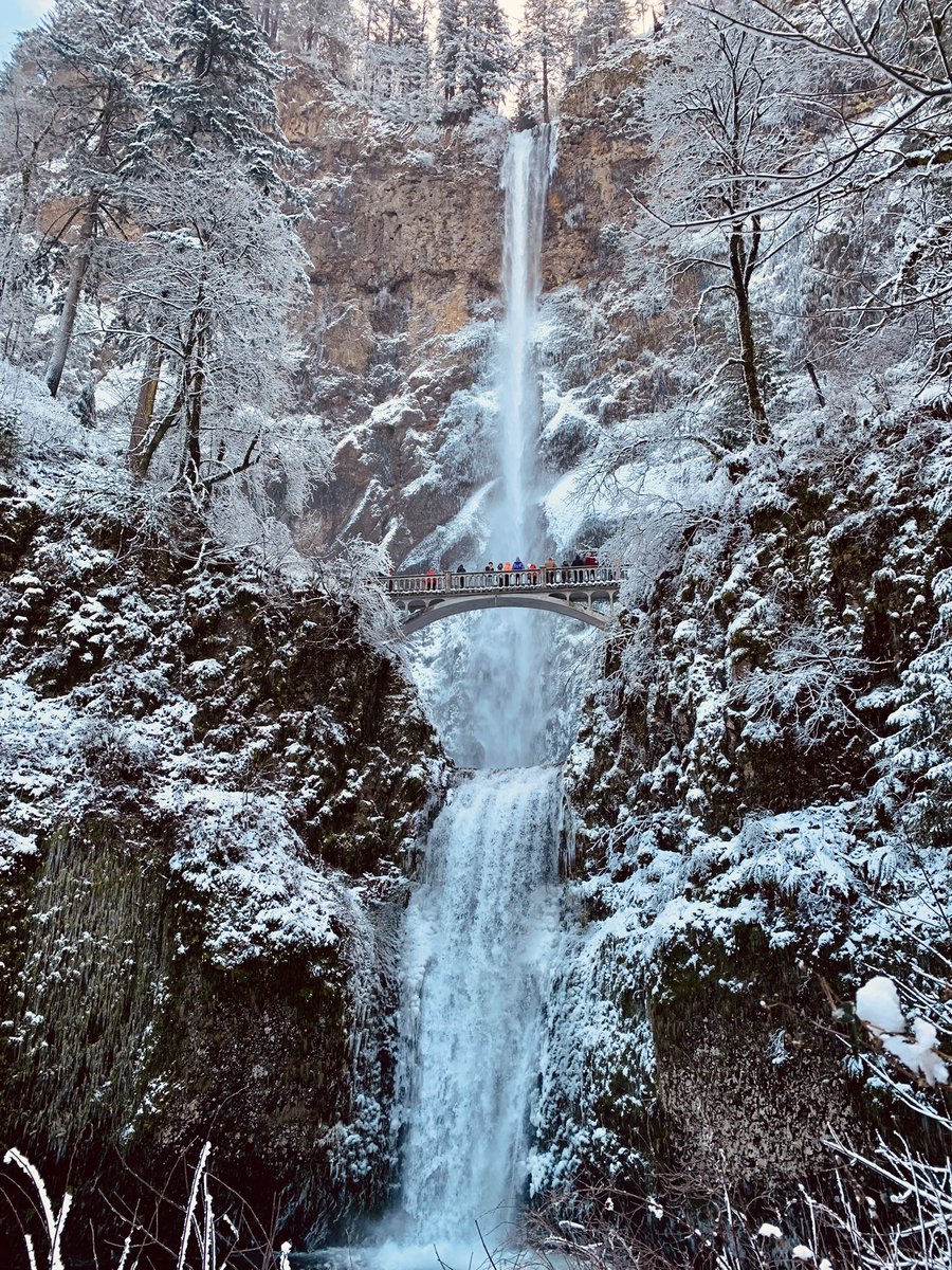 Ireland_Paul's tweet photo. @KGWNews Multnoma Falls today https://t.co/1glSWYQYSy