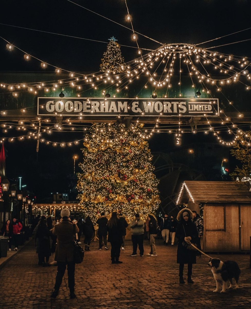 The canopy lights, the decor, the photo walls aligning the cobblestone streets. Our #DistilleryWinterVillage is a holiday dream come true. What’s your favourite  part of this year's village?

📸 @dimmyv