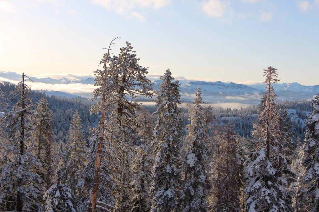 cahighsierra's tweet photo. Between #LakeTahoe & #Yosemite, youβll find a quiet piece of the #CAHighSierra. A destination that harkens back to a different era. Yes, we're talking about #BearValley. βοΈ If you can think of #snowyfun, Bear Valley has it!
π https://t.co/qY660Hslkn https://t.co/YujGntkriH