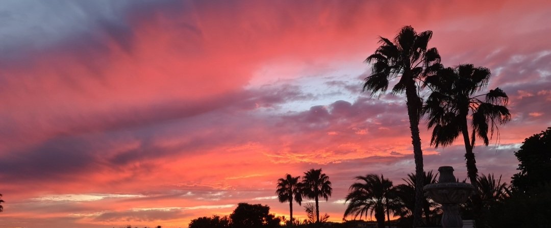 AleAbundez's tweet photo. Este año vi los atardeceres más fregones que he visto en mi vida 🌅 https://t.co/A5y1UhGnoZ