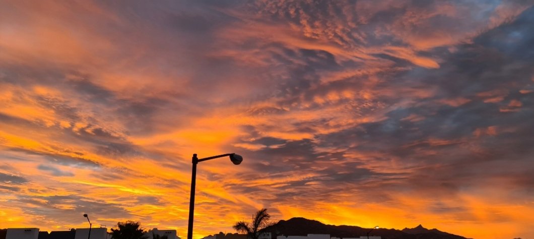 AleAbundez's tweet photo. Este año vi los atardeceres más fregones que he visto en mi vida 🌅 https://t.co/A5y1UhGnoZ